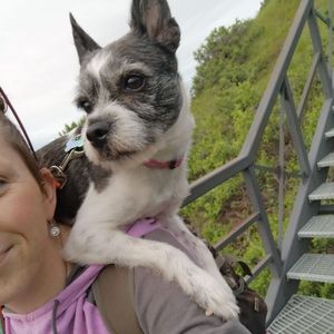 Meet your Posher, Amber